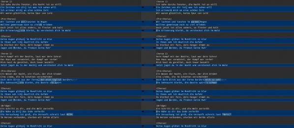 Ein Texteditor mit 2 Versionen des Songtextes.